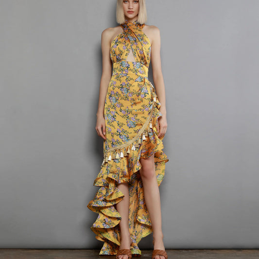 Robe longue imprimée à fleurs, dos nu, dos nu, pour femmes