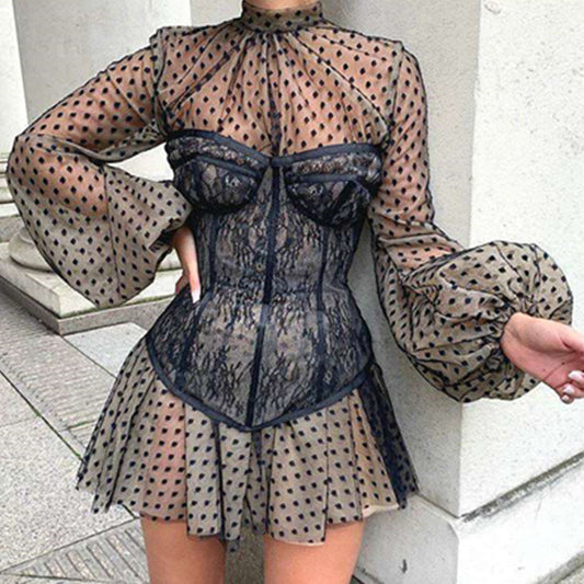 Fashionable Mesh Long Sleeve Flare Display Slim Dress