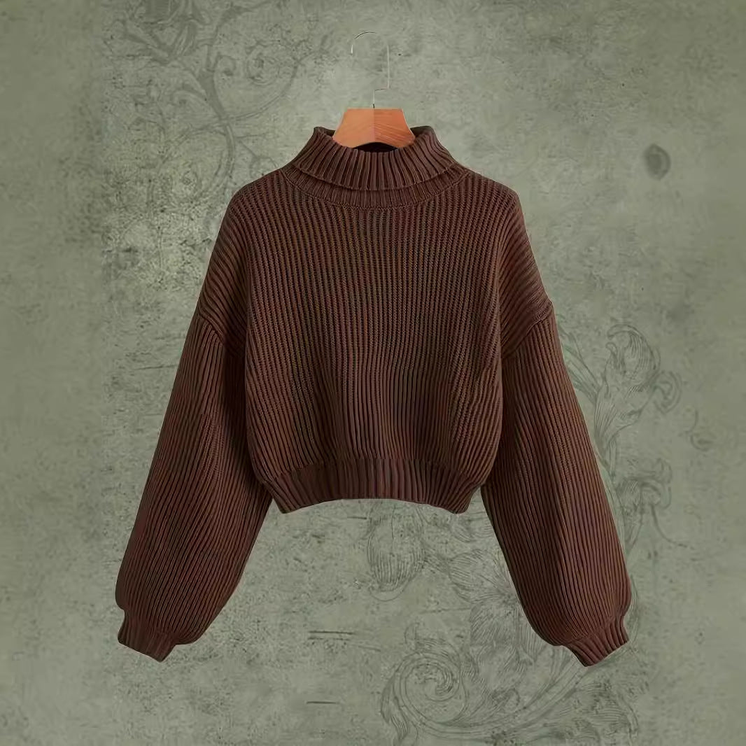 Suéter de cuello alto sencillo para usar en otoño e invierno