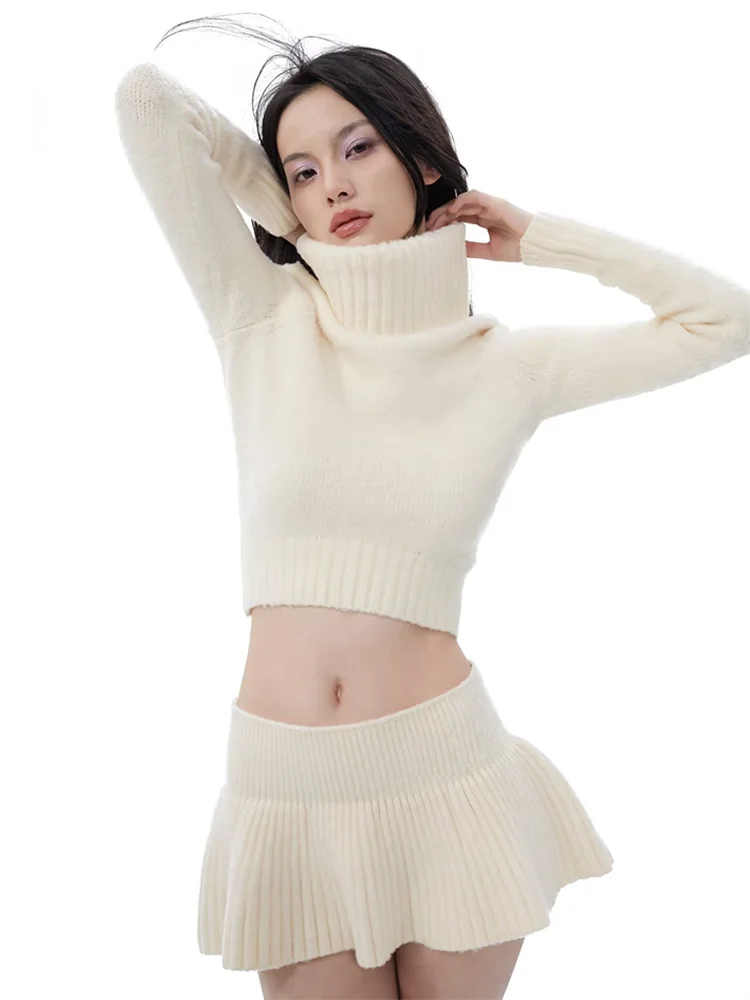 Absobe Knitted Sweater Mini Skirt 2 Piece Set Women Flapped High Neck Long Sleeve Top A-Line Short Skirt Set Autumn Streetwear