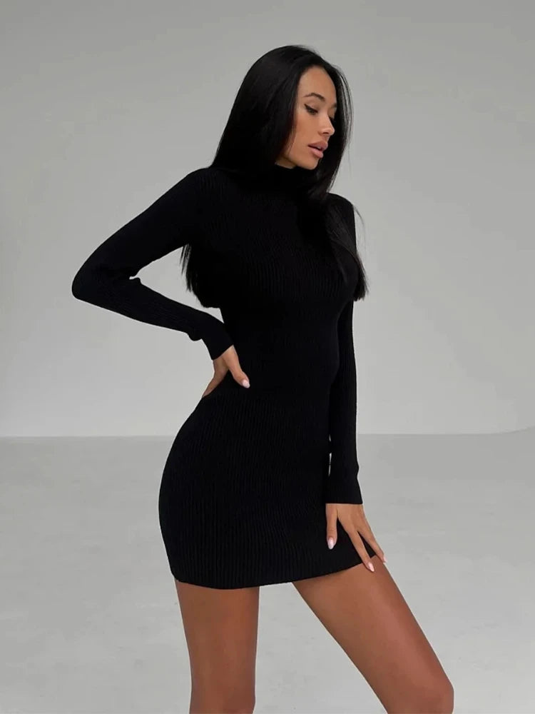 XIZOU Knitted White Dress Turtleneck Long Sleeve Bodycon Dress Autumn Winter Elegant Party Evening Black Dresses for Women