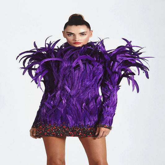 Robe élégante en plumes à la mode, manches longues